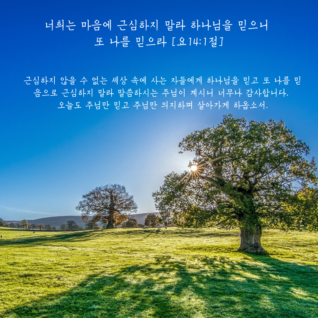 나를 믿으라 [요141절].png