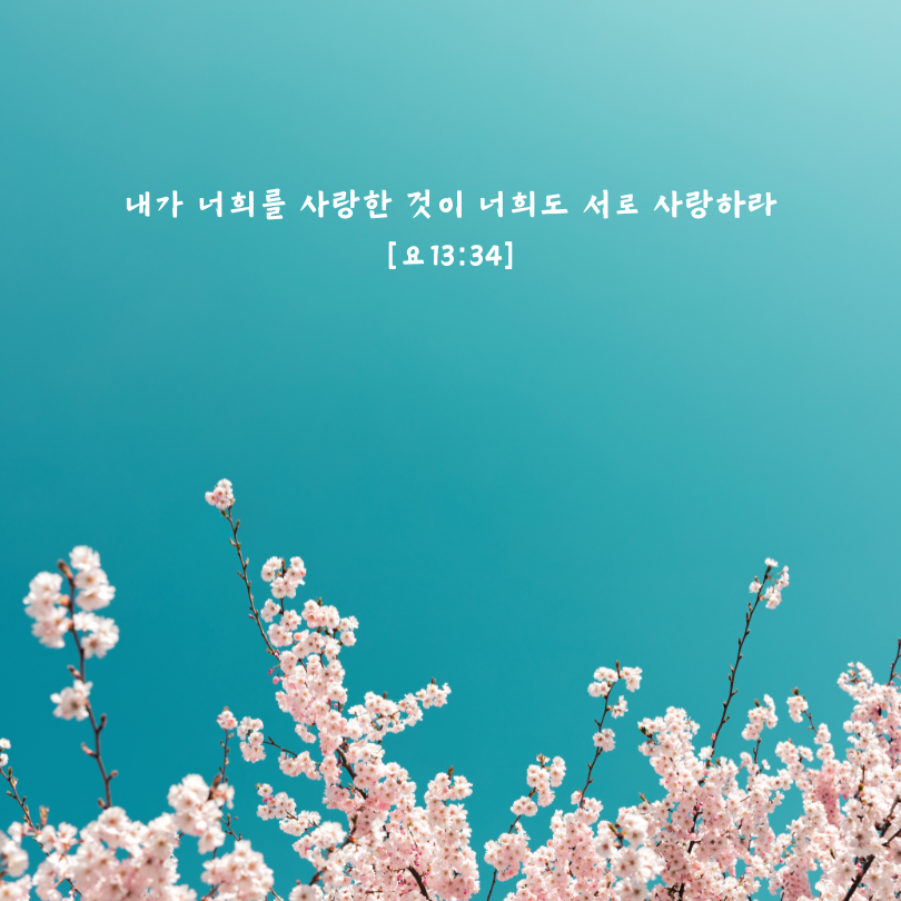 내가 너희를 사랑한 것이 너희도 서로 사랑하라 [요13.png